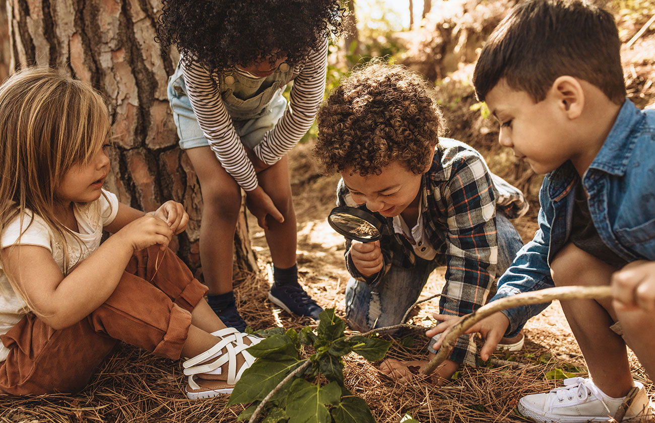 up-n-grow-childcare-early-learning-nature-outdoor-play